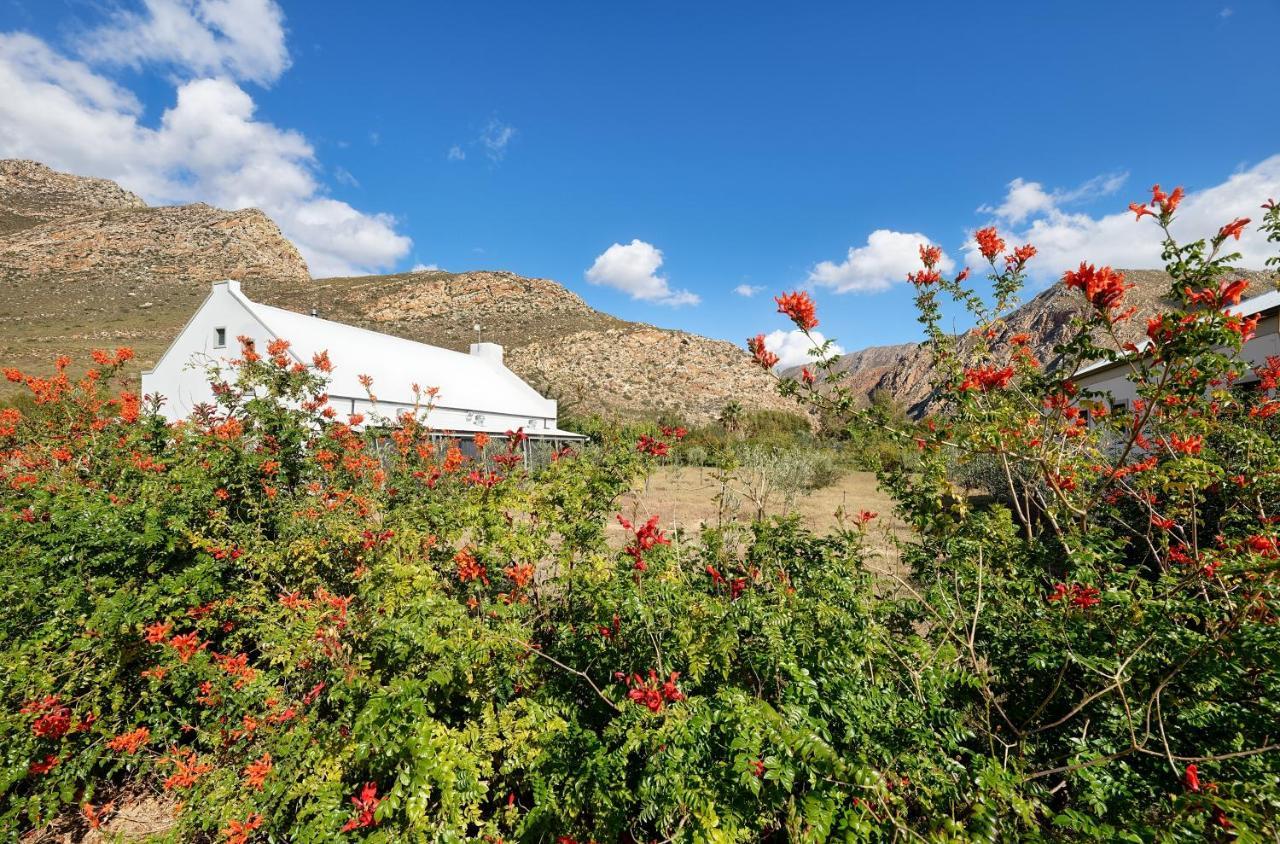 Jus Limin Hotell Montagu Exteriör bild